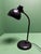 1930s bauhaus kaiser idell model 6556 table lamp. Designed by christian dell for 'kaiser leuchten'. completely cleaned,...