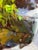 Early 21st Century Life Springs Forth by Judd Mercer | Oil on Wood Panel Stream flowing through rocks and greenery. For Sale - Image 5 of 5