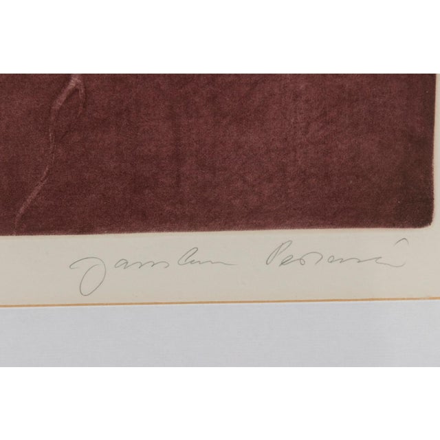 Jaroslava Pešicová, Wine Beetle, 1982, Limited Edition Print, Framed For Sale - Image 4 of 6