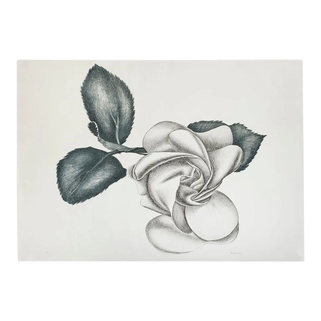 Black Rose - Original Etching by Giacomo Porzano - 1972 1972 For Sale