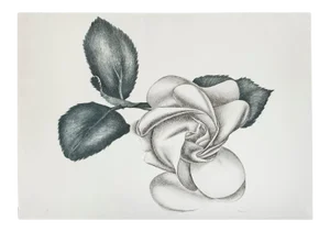 Black Rose - Original Etching by Giacomo Porzano - 1972 1972