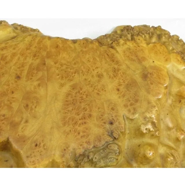 Antique Japanese Meiji Kadai Burl Presentation Board For Sale - Image 4 of 10