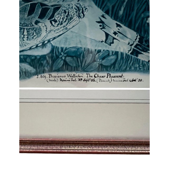 Vintage Framed Watercolor Lithographs of Spurfowl & Pheasants, Set of 2 For Sale In Los Angeles - Image 6 of 11