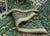 Oriental Hand Knotted Rug 8'3" x 10'5" #20648 For Sale In Houston - Image 6 of 8