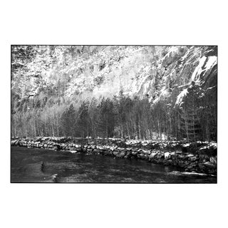 Paul Cooklin, Birches, Mostraumen Fjord, Bergen, Norway, Edition of 50 For Sale