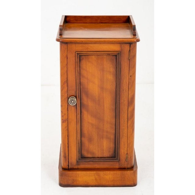 Victorian Bedside Cabinet in Satin Birch, 1870s For Sale - Image 9 of 9