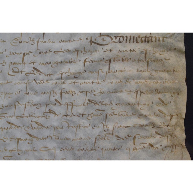 1534 French Renaissance Manuscript Legal Deed on Parchment, Seigneur De Petiteville For Sale - Image 6 of 11