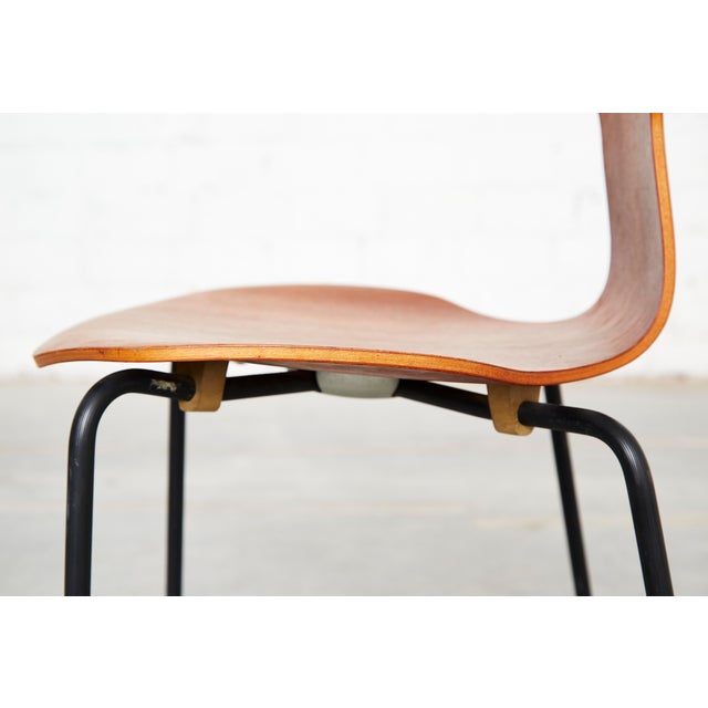 Wood Model 3103 Hammer Chairs by Arne Jacobsen for Fritz Hansen, 1964, Set of 4 For Sale - Image 7 of 18