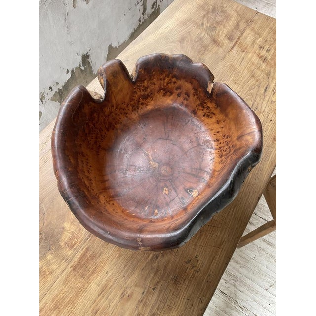 Cedar Root Wooden Flat Dish, 1950s For Sale - Image 15 of 18
