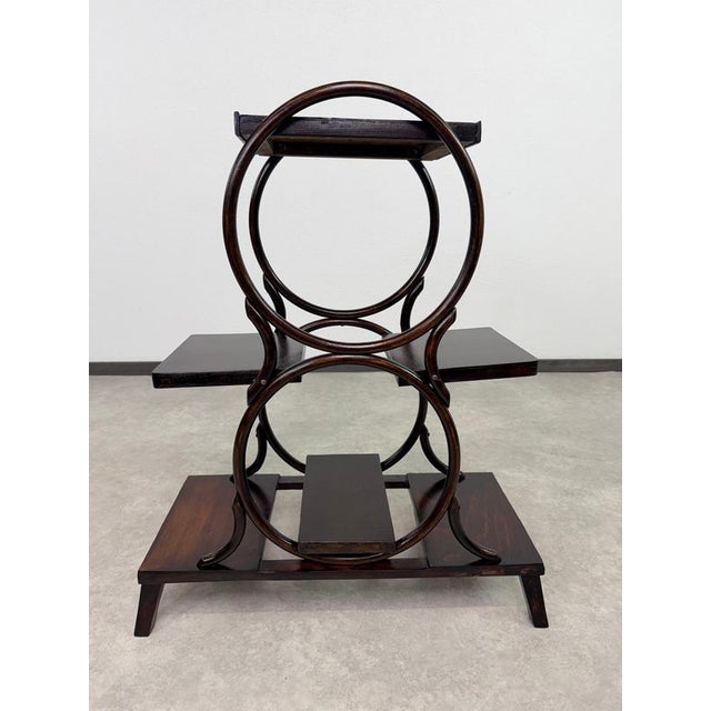 Vienna Secession 4-Tier Bentwood Plant Stand from Thonet, 1910 For Sale - Image 3 of 10