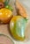 Mid 20th Century Summer Stone Fruit Vegetables Mexican Polished Onyx Carved Lg Lot 10 PCS For Sale - Image 4 of 12