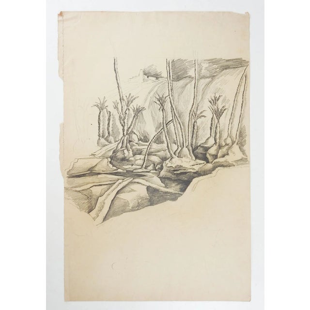 Vintage pencil on paper study of wadi and palm trees by George Baer (American 1895-1971). Unframed, image size 10" sq.,...