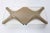 Large Cross Oyster Wall Lamp by Klaus Link for Neuhaus Leuchten, 1960s For Sale - Image 9 of 11