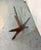 Mid-Century Walnut 'Jacks' Coffee Table Attributed to Adrian Pearsall For Sale - Image 10 of 15