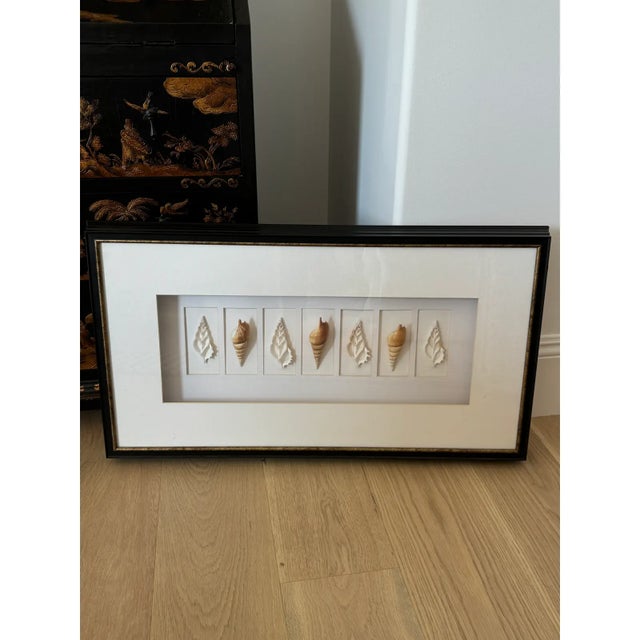Shell Large Black Framed Shell Shadow Box Picture From Barclay Butera For Sale - Image 7 of 11