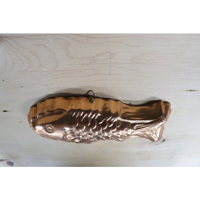 Mid Century Copper Fish Mold For Sale - Image 4 of 6