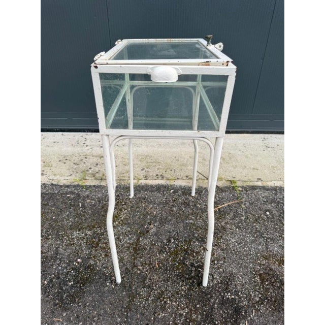 Doctor's Office Display Cabinet with Notice Board, 1950s For Sale - Image 4 of 7
