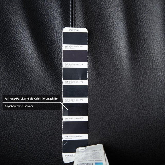 Papageno Leather Chair from Leolux For Sale - Image 9 of 15