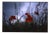 Paul Cooklin, Poppies II, County Type Photograph, Limited Edition of 10 For Sale