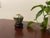 Chinese 19th C. Chinese Famille Rose Figural Gaiwan With Carved Stand For Sale - Image 3 of 5
