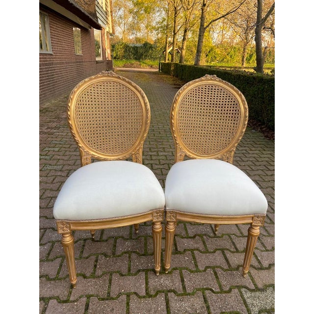 1970s French Artisan Louis XVI Gold Beech Cane Dining Chairs-Set of 4 Pc For Sale - Image 4 of 18