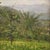Views of Lake Lugano, 1940, Oil on Panel Triptych, Set of 3 For Sale - Image 11 of 16