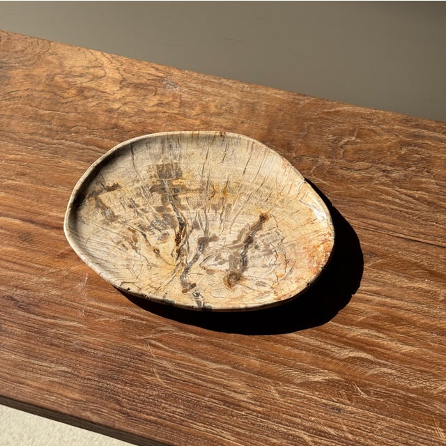 Small Oval Trinket Dish or Tray in Beige Petrified Wood with Crystal Rings, d25-20.5 -3313 For Sale - Image 16 of 18