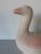 1980s Vintage Handcrafted Ceramic Duck Sculpture in Soft Pink & Cream For Sale - Image 5 of 12