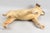 Antique Dog Figurine from Masters Voice Nipper, 1920s For Sale - Image 4 of 12