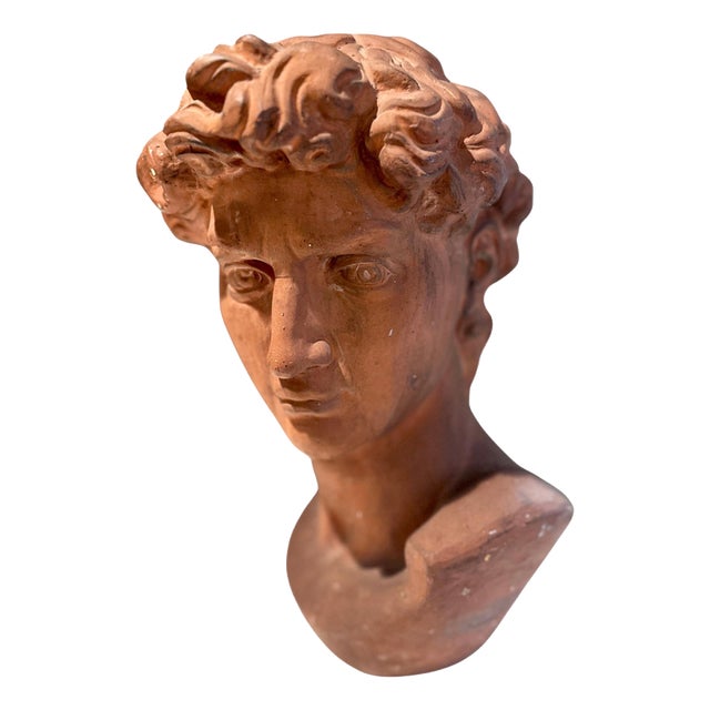Antique Terracotta Bust of Michelangelos David by Manetti, Italy, 1910 For Sale