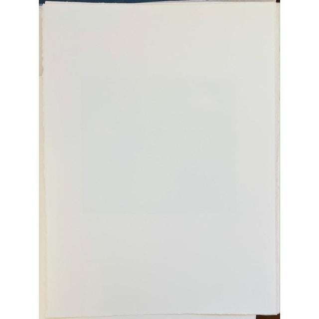 François-Xavier Lalanne, Pegasus, 2005, Etching For Sale - Image 4 of 5