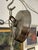 Progress Lighting Wisten Five Light Chandelier For Sale - Image 11 of 12