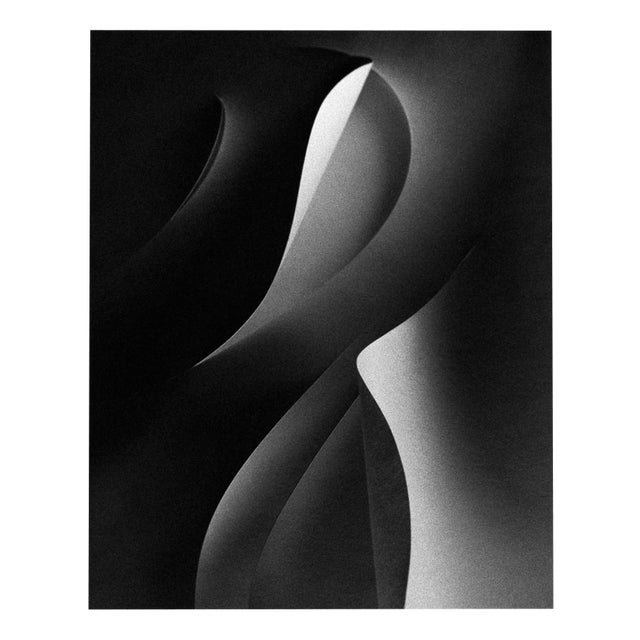 Ugne Pouwell, Paper Cut, 2021, Photography For Sale