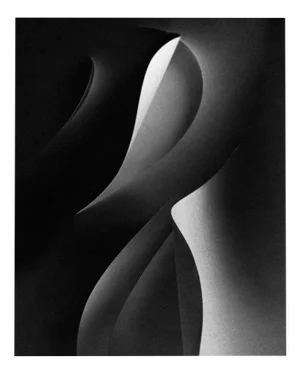 Ugne Pouwell, Paper Cut, 2021, Photography