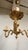Vintage Louis XV French Bronze Three Branch Chandelier, 1970s For Sale - Image 10 of 13