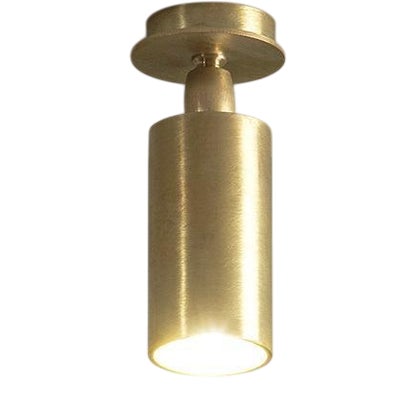 TF500 Ceiling Lamp in Satin Brass with an Adjustable Tubular Diffuser by Daluce For Sale