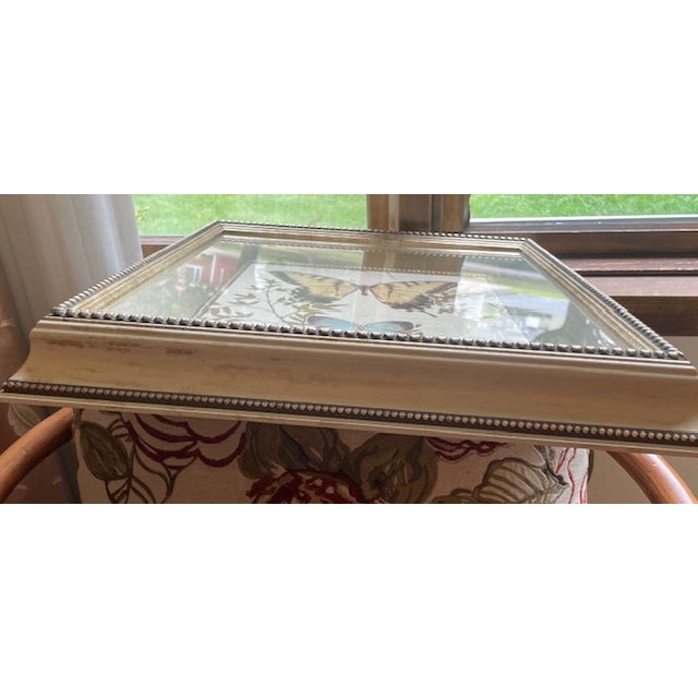 Beige 1990s Chad Barrett, Butterfly Print Mirrored Framed Shadowbox For Sale - Image 8 of 11