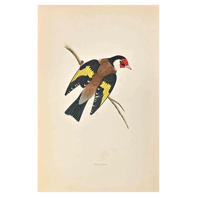 Alexander Francis Lydon, Goldfingh, Woodcut Print, 1870 For Sale