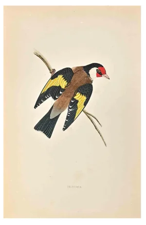 Alexander Francis Lydon, Goldfingh, Woodcut Print, 1870