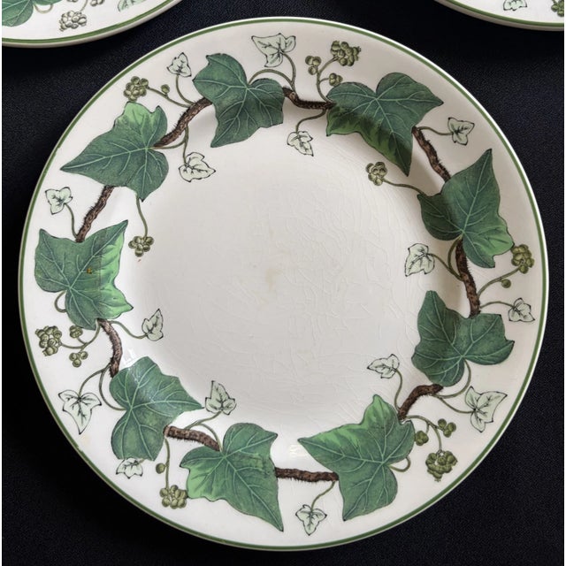 1940s Wedgewood Napoleon Ivy Plates - Set of 9 For Sale In Los Angeles - Image 6 of 8