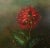Dutch Artist, Still Life with Floral Spray, 1980s, Oil on Canvas, Framed For Sale - Image 3 of 12