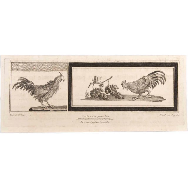 Decoration with animals is an etching realized by niccolò vanni (1750-1770). The etching belongs to the print suite...
