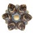 Majolica Palissy Fish Heads Oyster Plate Thomas Sergent, Circa 1880 For Sale