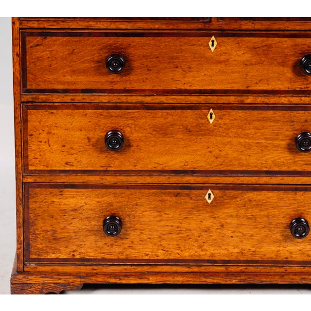 English Two-Tone Oak Chest of Drawers, 19th Century Country House Chest With Mahogany Crossbanding For Sale - Image 4 of 11