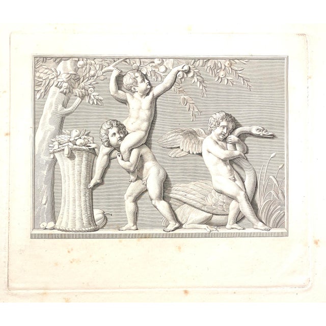 18th century "Cupid with a Swan and Boys Picking Fruit, The Summer" copper plate engraving, after Angelo Testa (born...