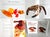 1st Edition Cookbook, "The Art of Peruvian Cuisine: Volume 2", by Tony Custer For Sale In Miami - Image 6 of 14