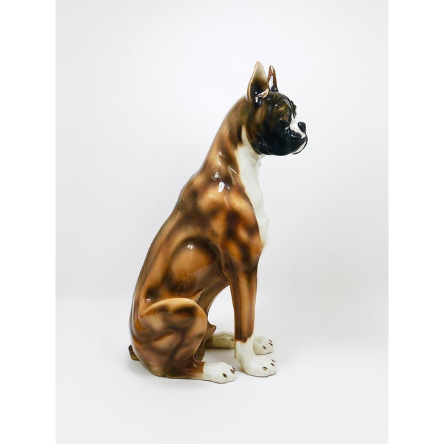 Gold Boxer Dog Life-Size Majolica Statue Sculpture in Glazed Ceramic, Italy, 1970s For Sale - Image 8 of 18