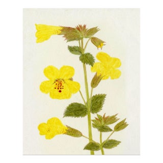 Hubbard Flower, Small: 2912 Artwork, Unframed Artwork For Sale