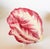 Traditional Italian Majolica Radicchio Trivet For Sale - Image 3 of 7