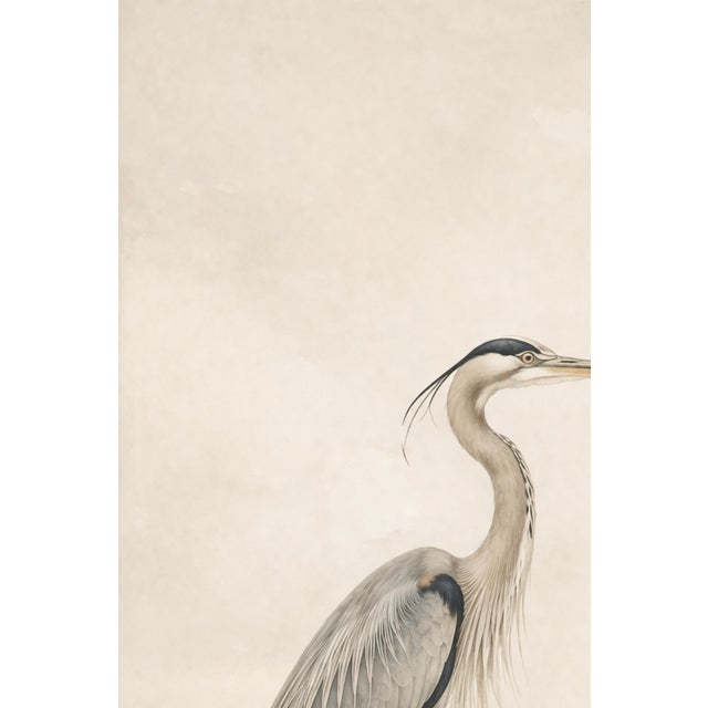 Not Yet Made - Made To Order Great Blue Heron Coastal Study, Minimalist Bird Wall Art Print, 24″ × 36″ For Sale - Image 5 of 9